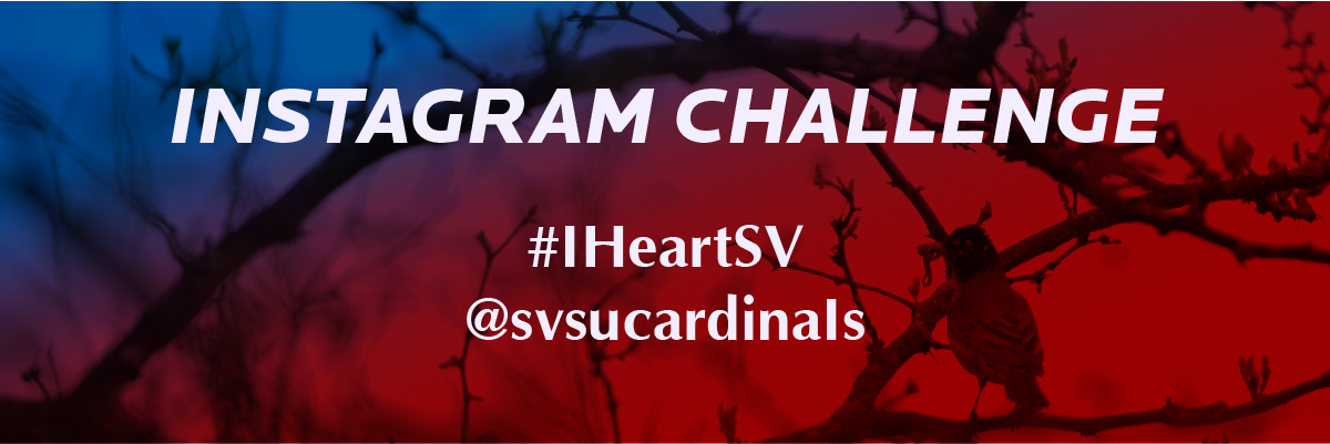 Instagram Challenge - I heart SV